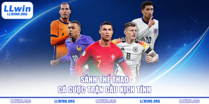 Sảnh thể thao cá cược trận cầu kịch tính
